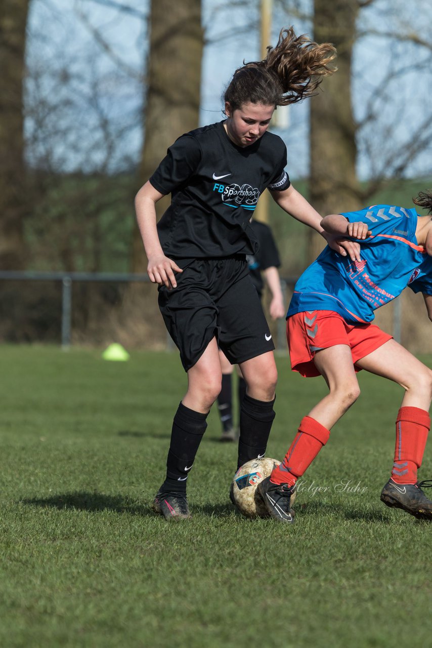 Bild 274 - C-Juniorinnen SV Steinhorst/Labenz - TSV Friedrichsberg-Busdorf : Ergebnis: 5:0